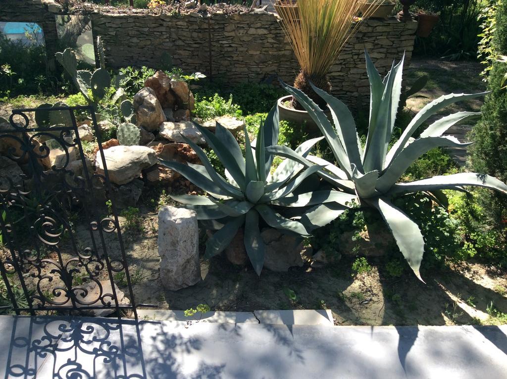 四只熊住宿加早餐旅馆 尼姆 外观 照片