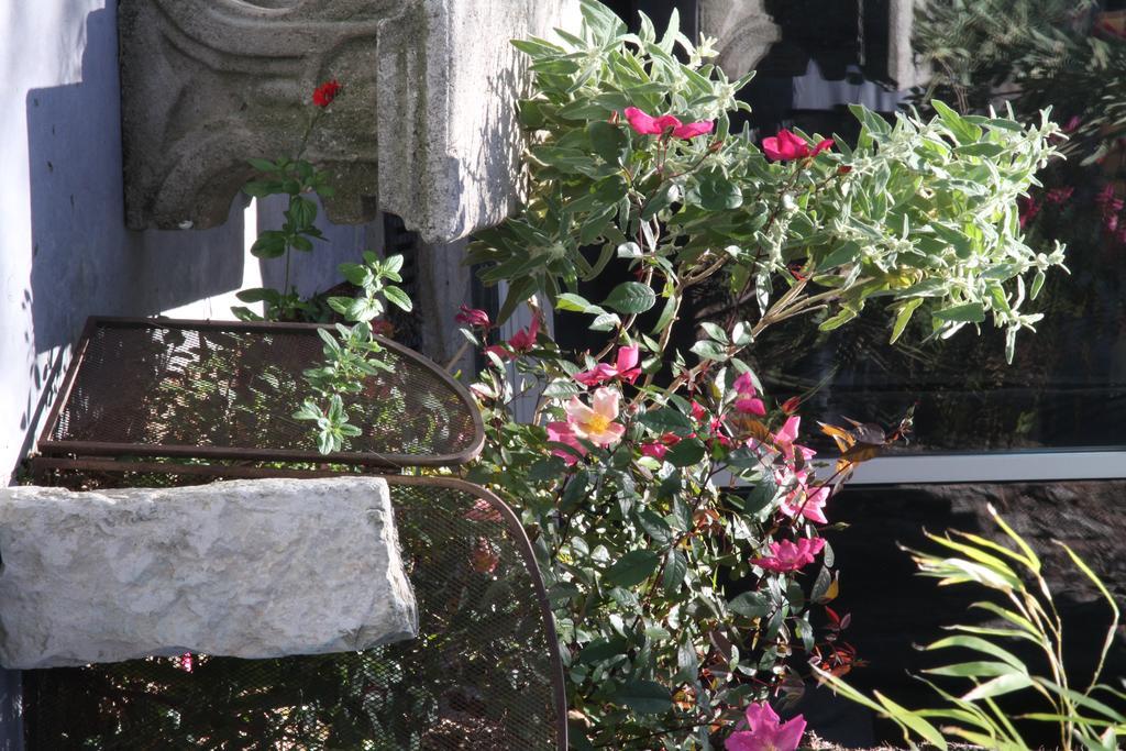 四只熊住宿加早餐旅馆 尼姆 外观 照片