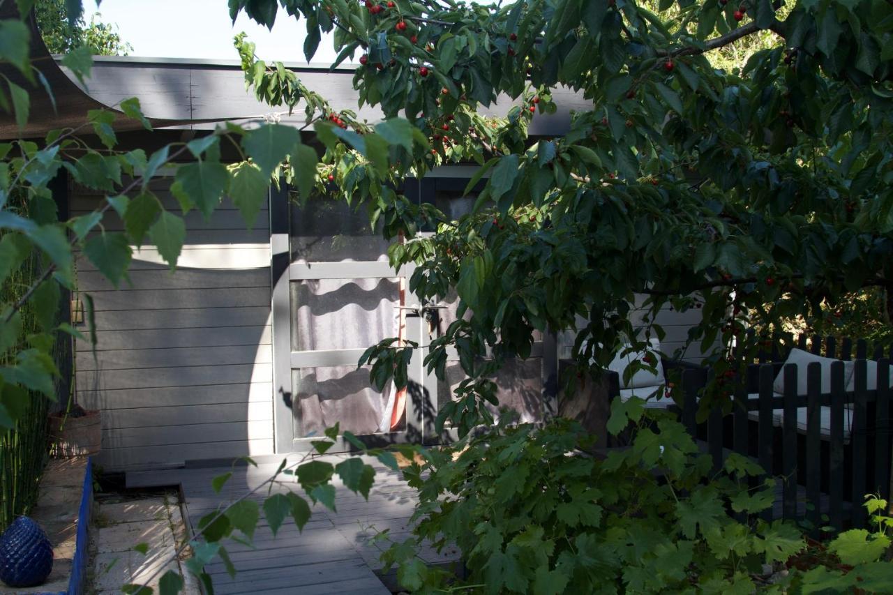 四只熊住宿加早餐旅馆 尼姆 外观 照片